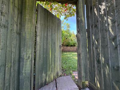 Picture 31